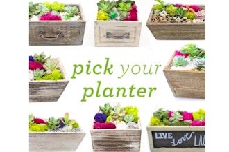 Plant Nite: Pick Your Planter! Choice of Wood Planter